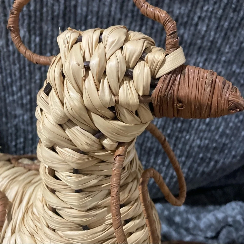 Chicken/Rooster Wire Raffia Set Decor Kitchen Farmhouse